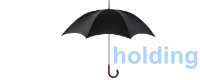 The Holding Company Logo